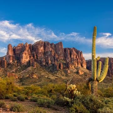 Phoenix