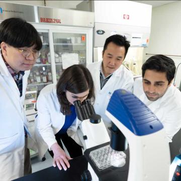 Researchers in laboratory viewing into microscope