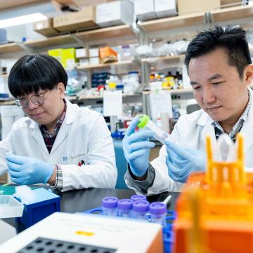 City of Hope scientists work with lab samples