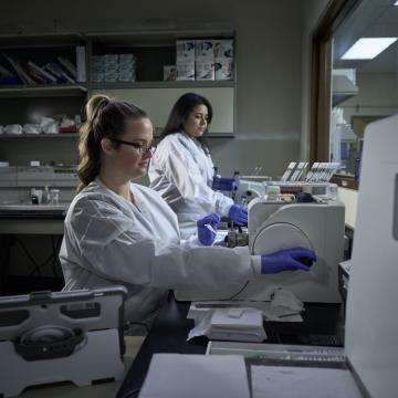 Scientists at the City of Hope stem cell lab