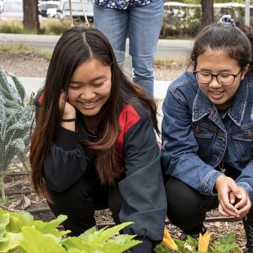 Students of the Hilton Science Nutrition program learning to grow vegetable