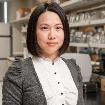 Viola Yingjun Luo