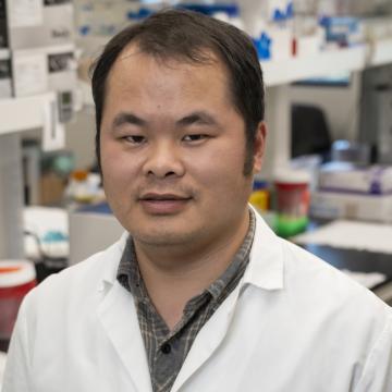 Headshot of Yin Wang, M.D. Ph.D., Post-Doctoral Researcher