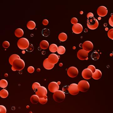 blood cells