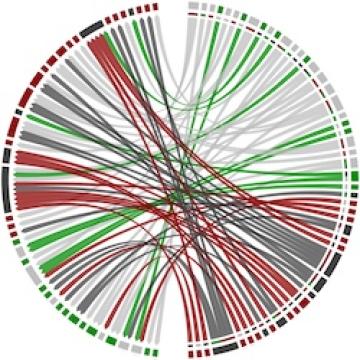 Gene Expression
