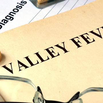 image of the edge of a piece of paper with the words "Valley Fever" 