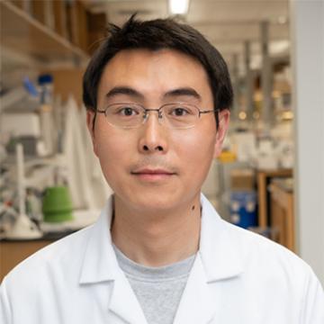 Jian 'Jonas' Wu, Ph.D., Staff Scientist