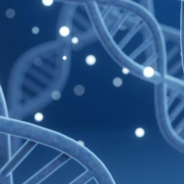 Genomic DNA molecular structure