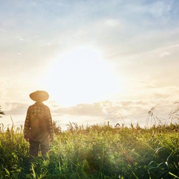 image of a farmer walking in a field after sunrise