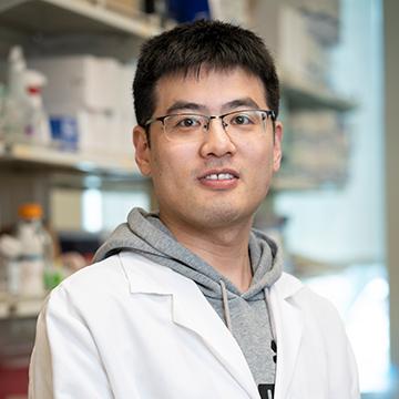 Honghai Zhang | Postdoctoral Fellow | Rui Su Lab | Systems Biology | City of Hope | Los Angeles