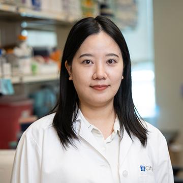 Xueer Wang | Postdoctoral Fellow | Rui Su Lab | Systems Biology | City of Hope | Los Angeles