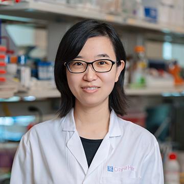 Wenjie Liu