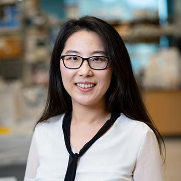 Ying Qing, Ph.D. | Postdoctoral Fellow | Duarte, CA | Department of Systems Biology | City of Hope