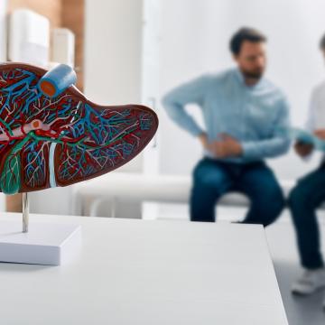 image of a doctor talking to a patient in the background, with a model of the heart in the foreground