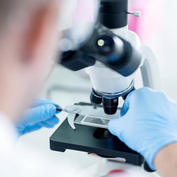 A researcher examining a sample through a microscope