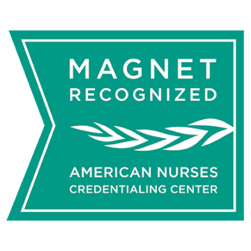 Magnet