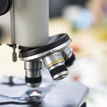 A microscope used during Mohs surgery on the nose 