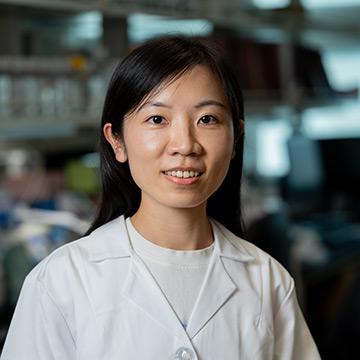 Sanhui Gao