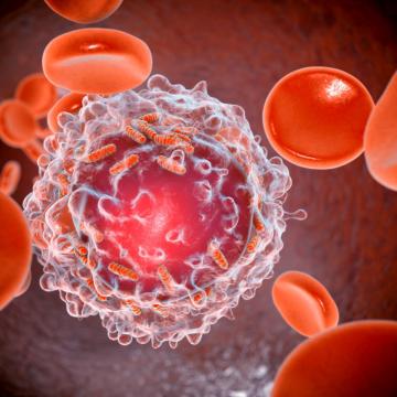 A cancer cell being attacked by precision medicine inhibitors