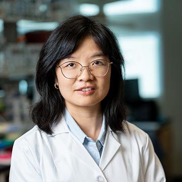 Chunjie Yu