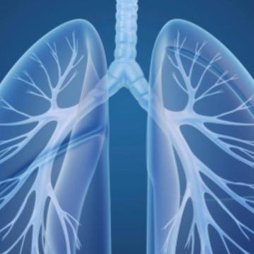 Smoking Cessation