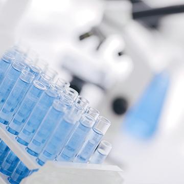 Test Tubes in Lab