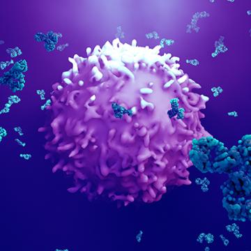CAR T vs. Stem Cell Transplant Orange County blog