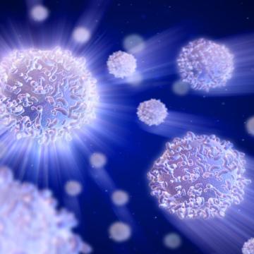 3D rendering of white blood cells