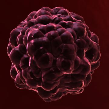 Microscopic cancer cell single red - large hi res