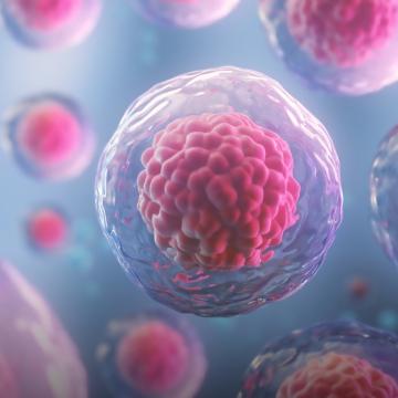 4 Common Breast Cancer Myths To Set Aside