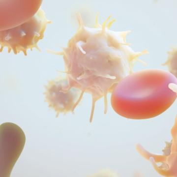 CAR T cells 1024x475