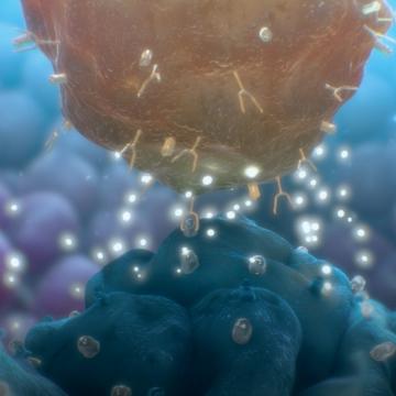 Purple blue and orange CAR T cells 1024x475