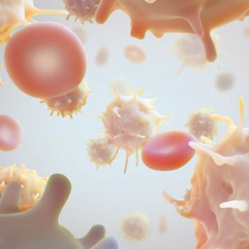 CAR T Cells