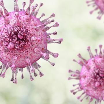 CMV Virus | City of Hope