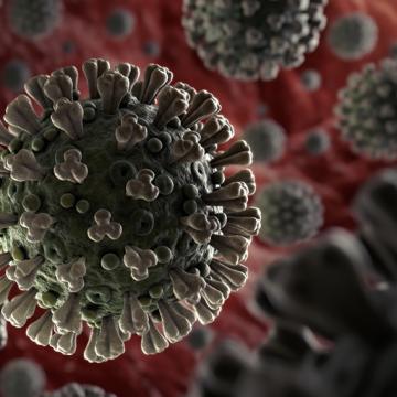 Covid 19 Coronavirus | City of Hope