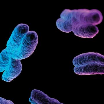 Blue and purple DNA 1024x475
