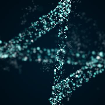 DNA Repair | City of Hope