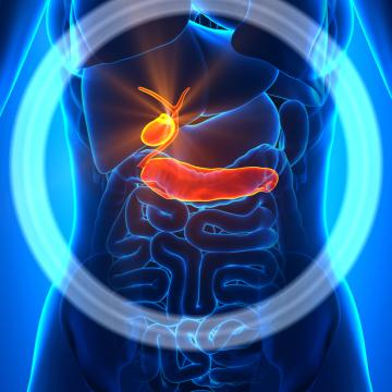 Gallbladder Bile Duct | City of Hope