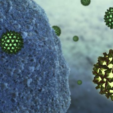 Hepatitis B virus