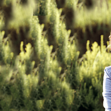 Lily-Grannis-Hero-1015x475