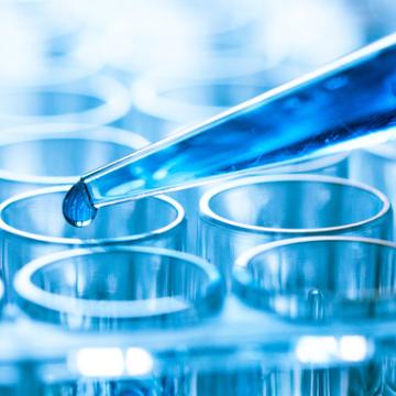 stem cell research