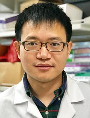Chao Shen Systems Biology - Chao Shen
