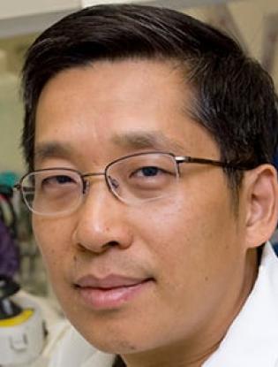 Lu-Qiang