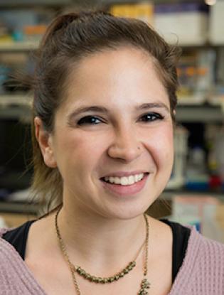 Martina Cusan - Systems Biology Martina Cusan - Systems Biology