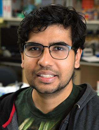Prajish Iyer - Systems Biology Prajish Iyer - Systems Biology