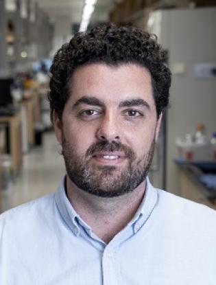 Meet Our Doctors: Saul Priceman, Ph.D.