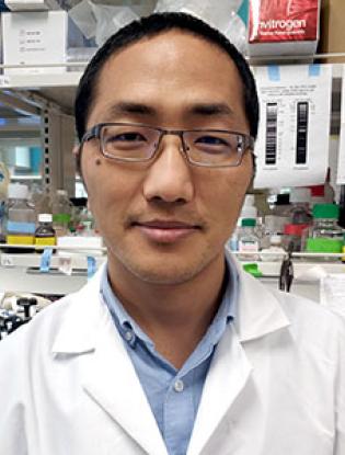 Lei Gao Lei Gao - Systems Biology