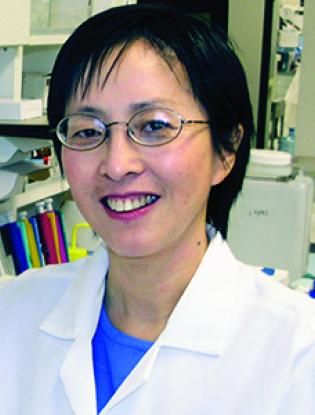 Wei wen Wei wen