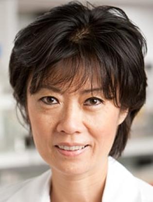 Meet Our Doctors: Hua Eleanor Yu, Ph.D.