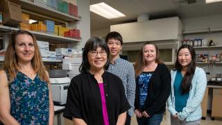 Anna Wu Lab